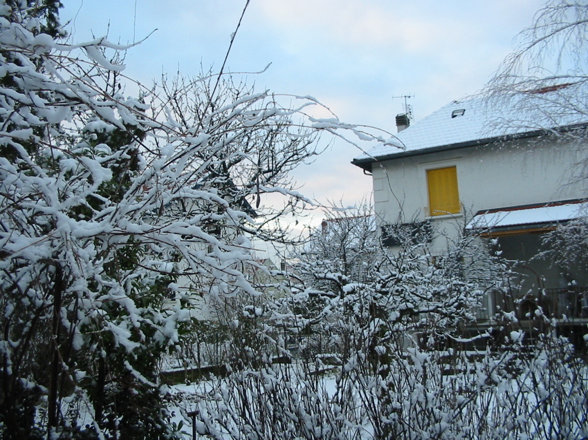 Vue du fond du jardin