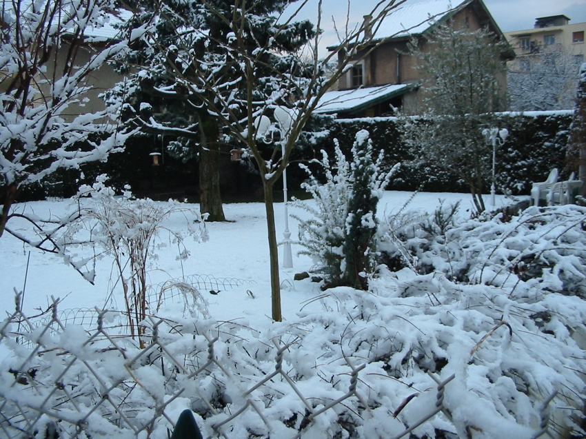 Le jardin de Jacques, mon voisin.