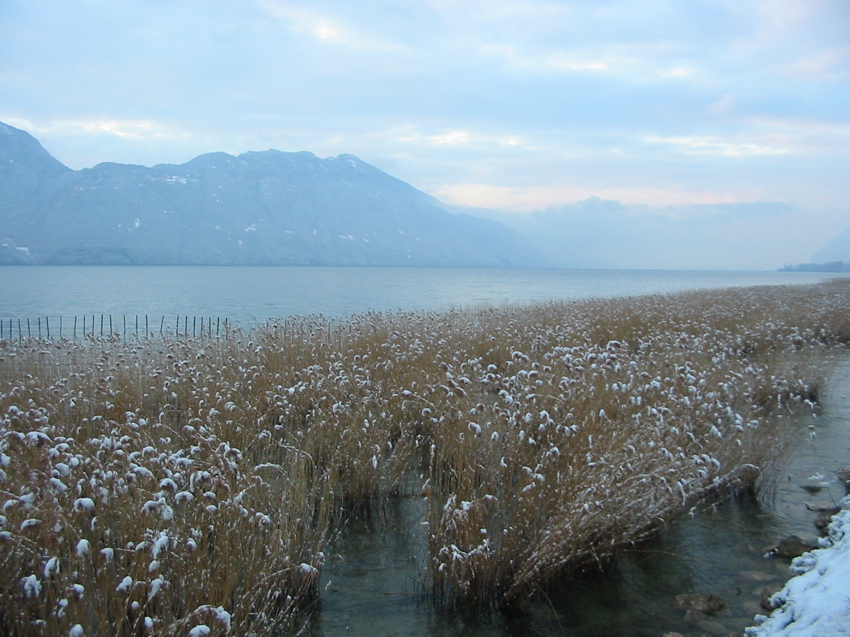 Bords du lac