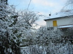 Vue du fond du jardin