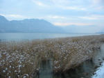 Bords du lac