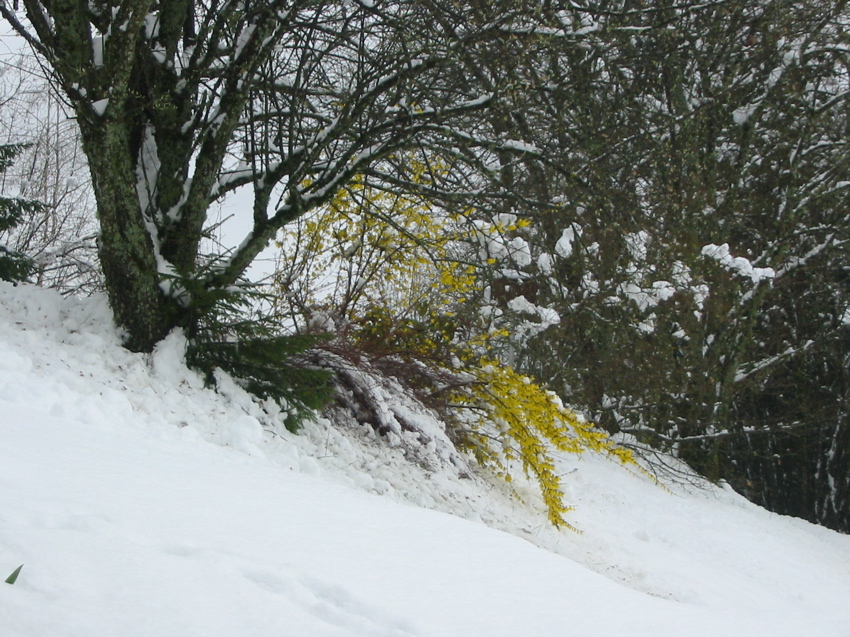 Hiver ou printemps ?