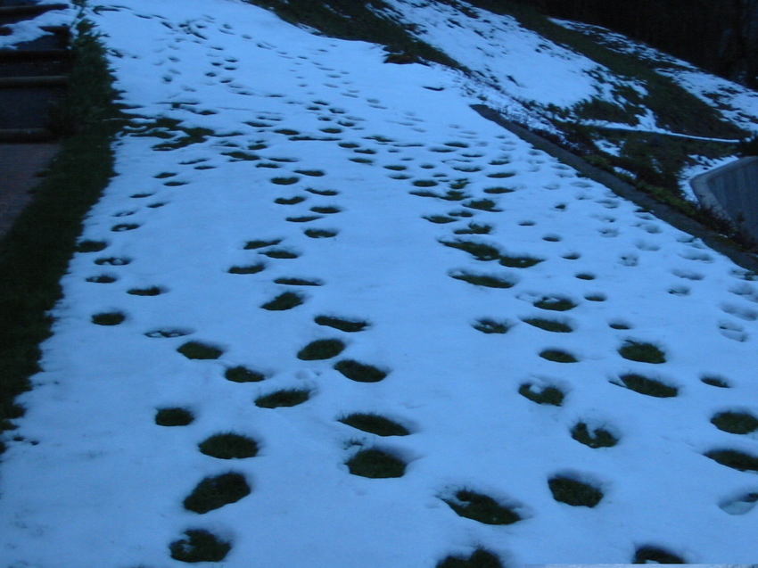On a marché sur la neige