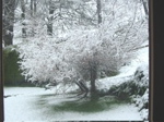 La neige est retombée, très belle !