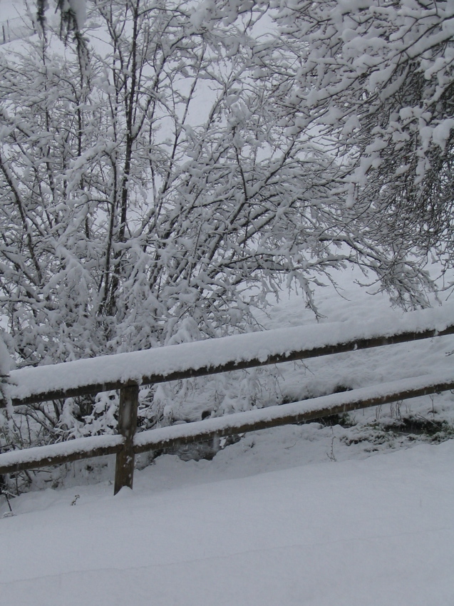 Ce matin la neige est là