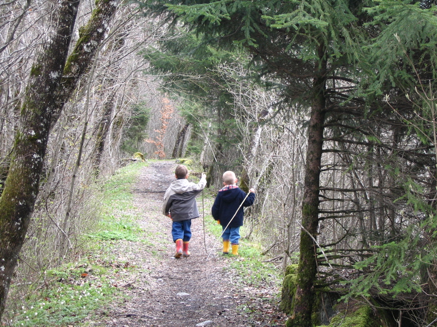 Promenade au long du Giffre et du lac des Vernays.
