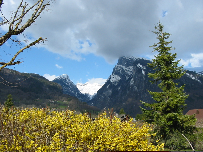 Vue du parc