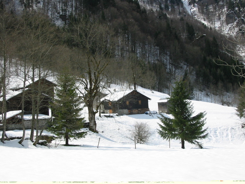 Le site du Fer à cheval