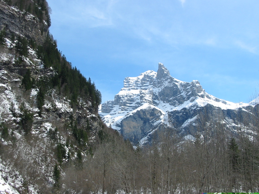 Le Tanneverge !