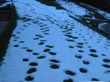 On a marché sur la neige