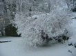 Ce matin la neige est là