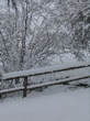 Ce matin la neige est là