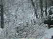 La neige est retombée, très belle !