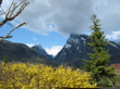 Vue du parc