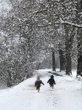 Première promenades dans la neige