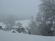 Première promenades dans la neige