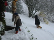 Première promenades dans la neige