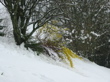Hiver ou printemps ?