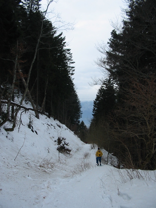 Essai des raquettes au Revard