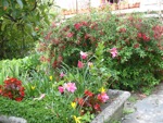 Bassin de fleurs