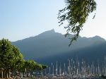 IMG_0006.JPG
