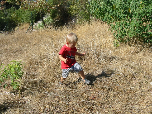 IMG_0061.JPG