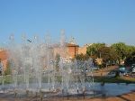IMG_0098.JPG