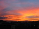 IMG_0131.JPG