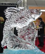 IMG_0342.JPG