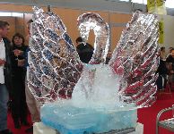 IMG_0339.JPG