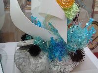 IMG_0334.JPG