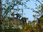 IMG_0327.JPG