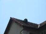 IMG_0337.JPG