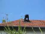 IMG_0342.JPG