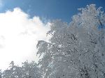 IMG_0183.JPG