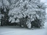IMG_0198.JPG
