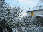 IMG_0207.JPG