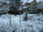 IMG_0210.JPG