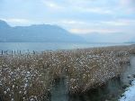 IMG_0211.JPG