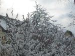 IMG_0217.JPG