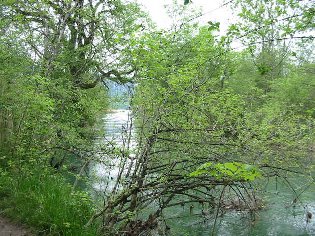 En vue du lac