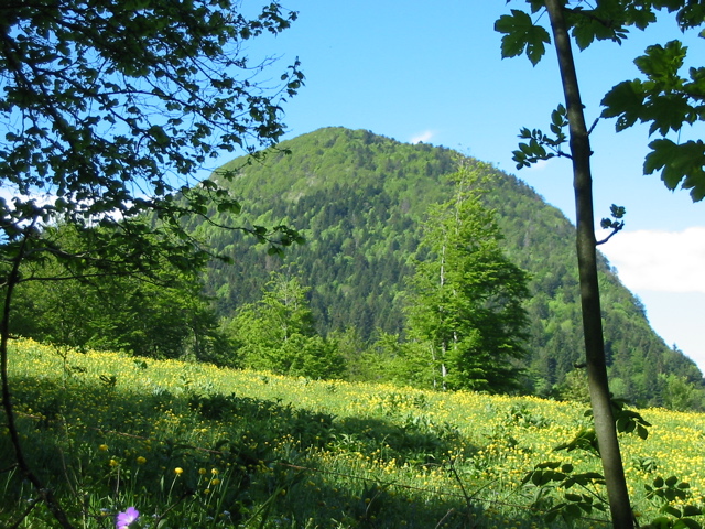 IMG_0006.JPG