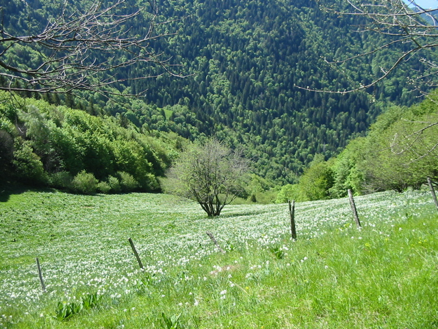 IMG_0010.JPG