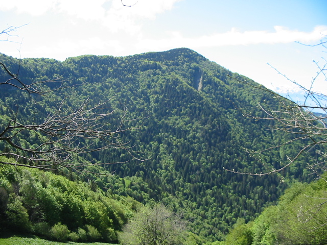 IMG_0011.JPG