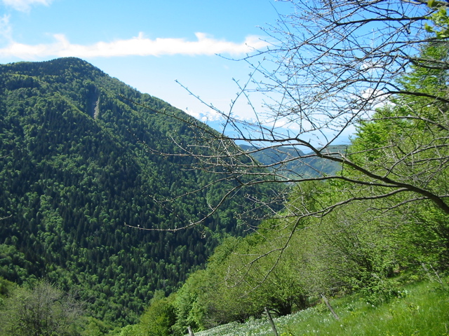IMG_0012.JPG