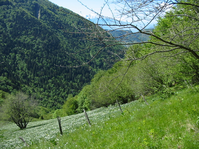 IMG_0013.JPG