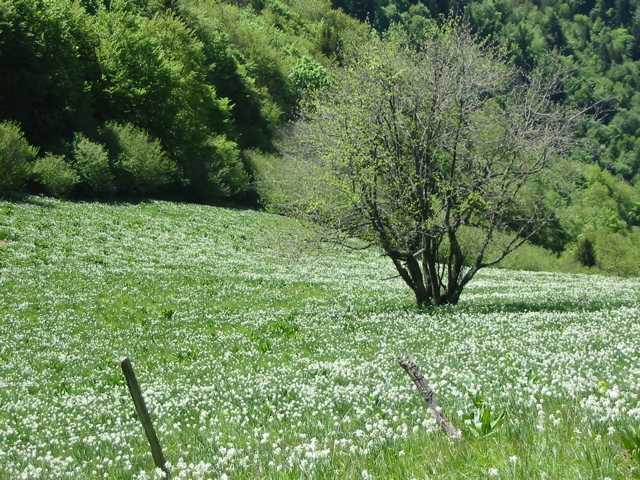 IMG_0014.JPG