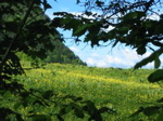 IMG_0005.JPG
