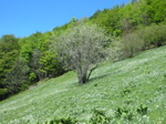 IMG_0008.JPG