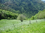 IMG_0010.JPG